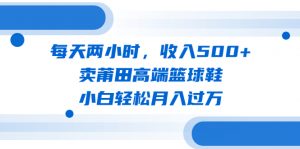 每天两小时,收入500+,卖莆田高端篮球鞋,小白轻松月入过万(教程+素材)-王总副业网