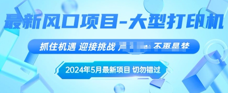 2024年5月最新风口项目，闲鱼卖大型打印机，无货源赚差价模式，小白也可以操作-王总副业网