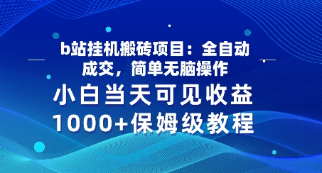 b站挂机搬砖项目：全自动成交，简单无脑操作，小白当天可见收益，保姆级教程-王总副业网