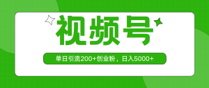 视频号单日引流200+创业粉,日入5000+-王总副业网