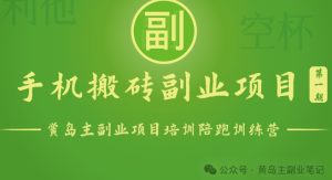 手机搬砖小副业项目训练营1.0,实测1小时收益50+,一部手机轻松日入100+-王总副业网