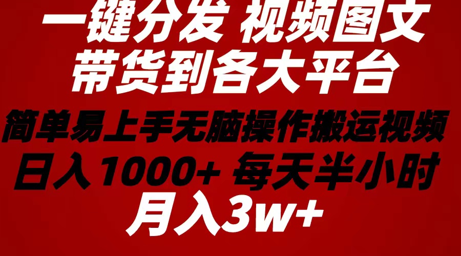 2024年 一键分发带货图文视频 简单易上手 无脑赚收益 每天半小时日入1000+-王总副业网