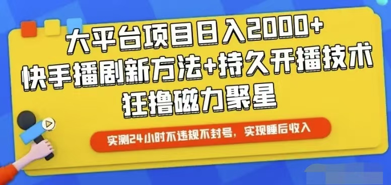 快手24小时无人直播，真正实现睡后收益-王总副业网