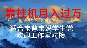 每天躺着日入几百挂机项目,适合宝爸宝妈学生党工作室对接-王总副业网