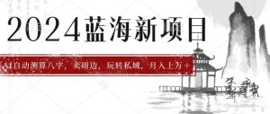 2024年蓝海项目智能AI算命,测算八字,带货月入上万+-王总副业网