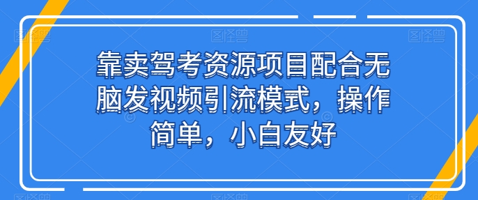 靠卖驾考资源项目配合无脑发视频引流模式，操作简单，小白友好-王总副业网