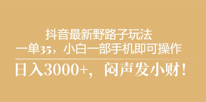 抖音最新野路子玩法，一单35，小白一部手机即可操作，，日入3000+，闷声发小财-王总副业网