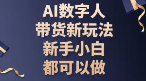 AI数字人带货新玩法,新手小白都可以做-王总副业网