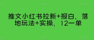 推文小红书拉新+报白,落地玩法+实操,12一单-王总副业网