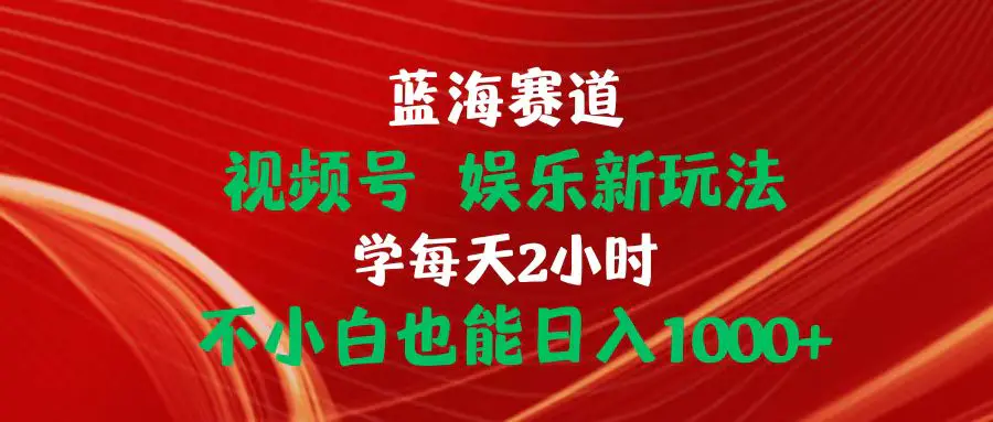 蓝海赛道视频号 娱乐新玩法每天2小时小白也能日入1000+-王总副业网