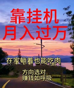 靠挂机,日入1000+,躺着也能吃肉,电脑手机都可挂-王总副业网