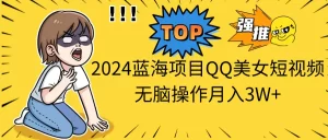 2024蓝海项目,QQ美女短视频,无脑操作月入3W+-王总副业网