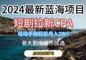 2024最新蓝海项日,短剧拉新CPA,动动手指轻松月入1W,全各大剧场随你挑选-王总副业网