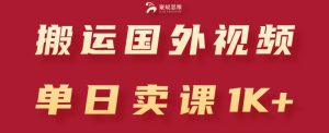 搬运国外视频,引流创业粉,单日卖课1K+-王总副业网