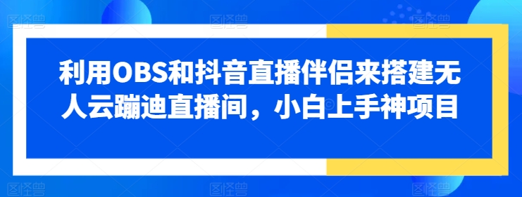 利用OBS和抖音直播伴侣来搭建无人云蹦迪直播间，小白上手神项目-王总副业网