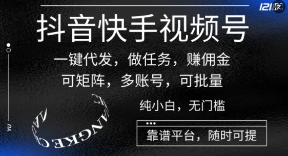 抖音快手视频号一键代发，做任务，赚佣金，可矩阵，多账号，可批量-王总副业网