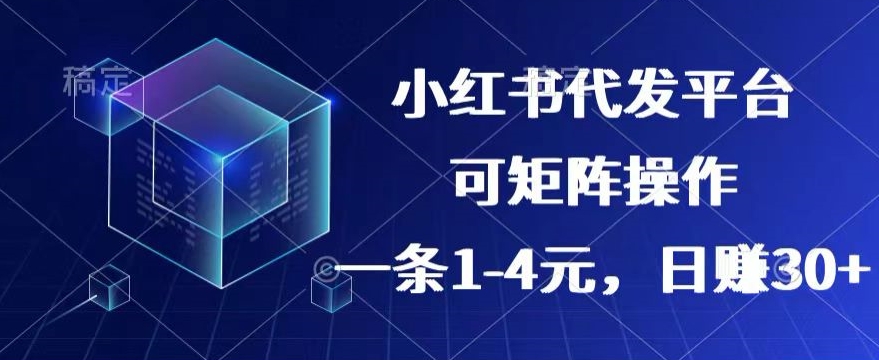 【小红书+抖音】代发平台，一条1~4元，日赚30+的靠谱小项目，可矩阵操作-王总副业网