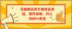 无脑搬运爽文撸美金项目,操作简单,月入2K美金-王总副业网