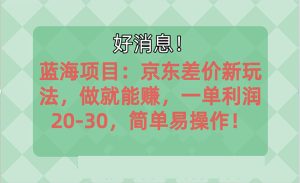 越早知道越能赚到钱的蓝海项目:京东大平台操作,一单利润20-30,简单易操作-王总副业网