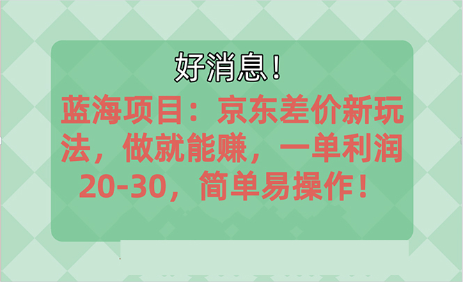 越早知道越能赚到钱的蓝海项目：京东大平台操作，一单利润20-30，简单易操作-王总副业网