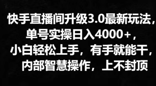 快手直播间升级3.0最新玩法，小白轻松上手，有手就能干，内部智慧操作，上不封顶-王总副业网