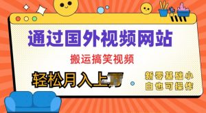 国外视频网站搬运搞笑视频,零基础也可操作,月入上w-王总副业网