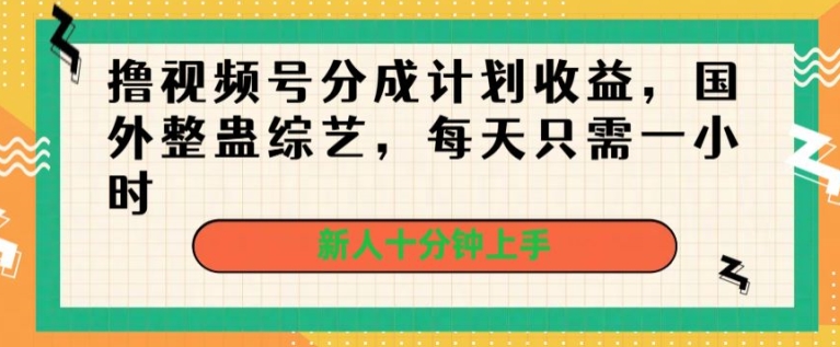 撸视频号分成计划收益，国外整蛊综艺，每天只需一小时，新人十分钟上手-王总副业网