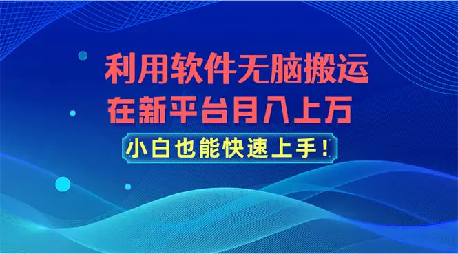 利用软件无脑搬运，在新平台月入上万，小白也能快速上手-王总副业网