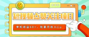 2024短视频平台点赞关注项目,轻松上手,单号收益60+,可批量可推广月收益可破w-王总副业网