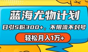 蓝海尤物计划,AI重绘美女视频,日引s粉300+,不限流不封号,轻松月入1w+-王总副业网