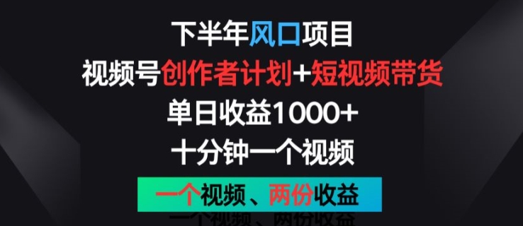 下半年风口项目，视频号创作者计划+视频带货，一个视频两份收益，十分钟一个视频-王总副业网