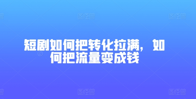 短剧如何把转化拉满，如何把流量变成钱-王总副业网