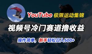 视频号冷门赛道撸收益,YouTube搬运极限运动集锦,暴力起号,操作简单流量高,轻松日入500-王总副业网