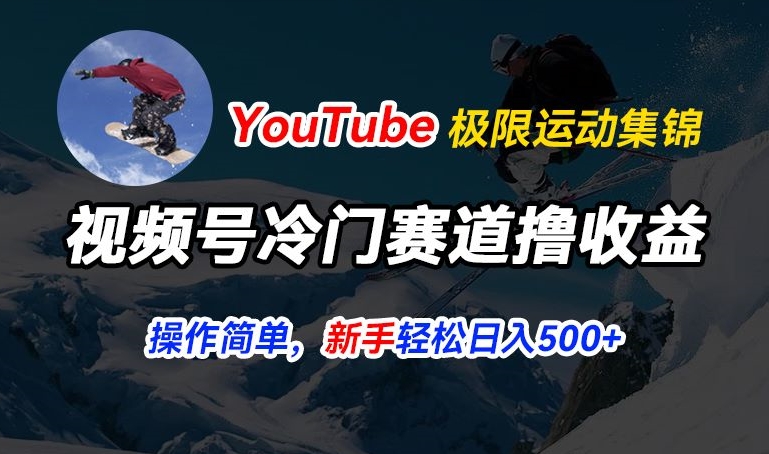 视频号冷门赛道撸收益，YouTube搬运极限运动集锦，暴力起号，操作简单流量高，轻松日入500-王总副业网