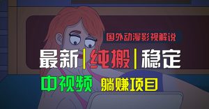 国外动漫影视解说,批量下载自动翻译,纯搬运稳定过原创,小白也能轻松赚钱-王总副业网