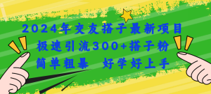 2024年交友搭子最新项目,极速引流300+搭子粉,简单粗暴,好学好上手-王总副业网