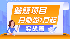 躺赚副业项目,月利润1万起,当天见收益,实战篇-王总副业网
