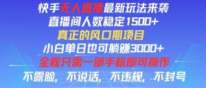 快手无人直播全新玩法,直播间人数稳定1500+,小白单日也可躺赚3000+-王总副业网