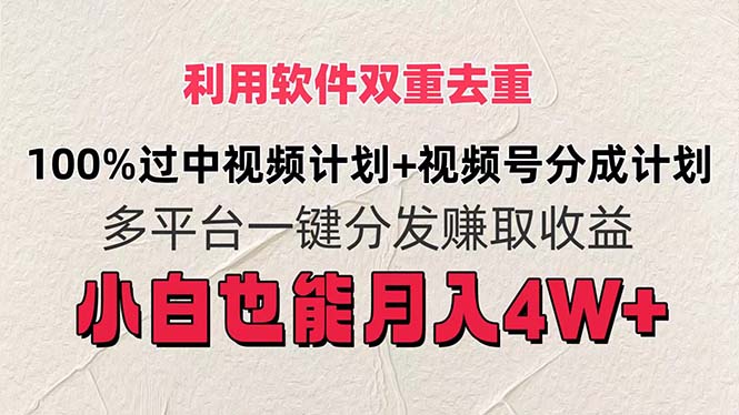 利用软件双重去重，100%过中视频+视频号分成计划小白也可以月入4W+-王总副业网