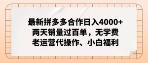 最新拼多多合作日入4000+两天销量过百单,无学费、老运营代操作、小白福利-王总副业网