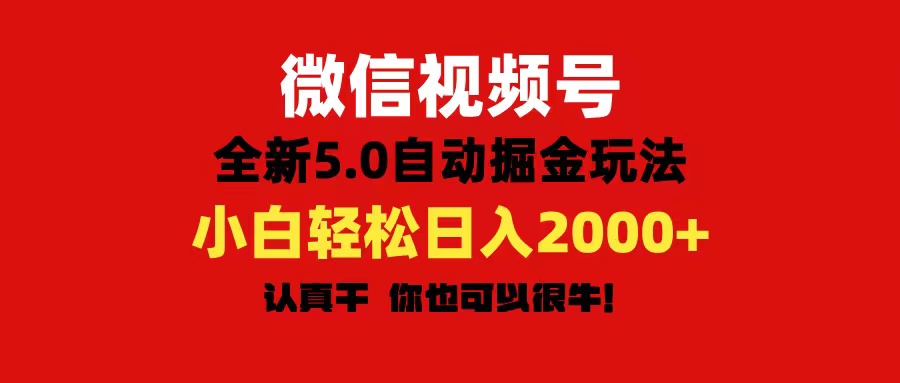 微信视频号变现，5.0全新自动掘金玩法，日入利润2000+有手就行-王总副业网