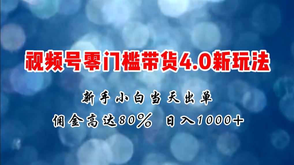 微信视频号零门槛带货4.0新玩法，新手小白当天见收益，日入1000+-王总副业网