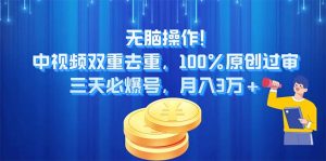 无脑操作,中视频双重去重,100%原创过审,三天必爆号,月入3万+-王总副业网