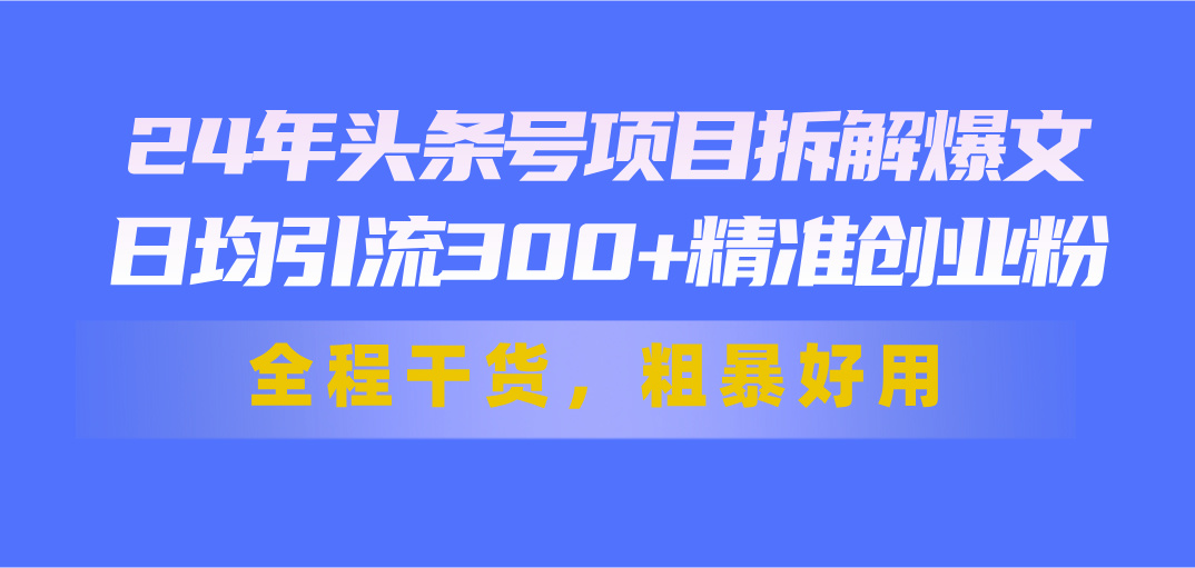 24年头条号项目拆解爆文，日均引流300+精准创业粉，全程干货，粗暴好用-王总副业网