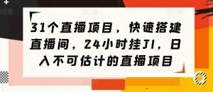 31个直播项目,快速搭建直播间,24小时挂JI,日入不可估计的直播项目-王总副业网