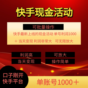 快手新活动项目!单账号利润1000+ 非常简单【可批量】(项目介绍+项目实操)-王总副业网