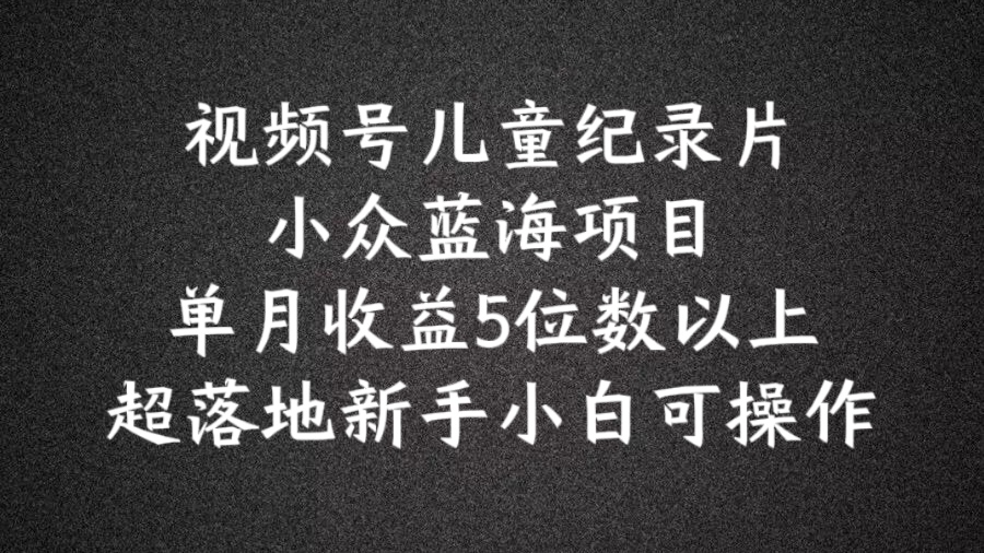 2024蓝海项目视频号儿童纪录片科普，单月收益5位数以上，新手小白可操作-王总副业网