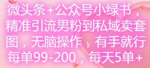微头条+公众号小绿书,精准引流男粉到私域卖套图,无脑操作,有手就行,每单99-200,每天5单-王总副业网