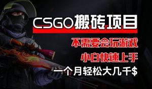 CSGO 装备搬砖项目,操作简单,不需要会玩游戏,小白也能快速上手,一个月轻松大几千-王总副业网