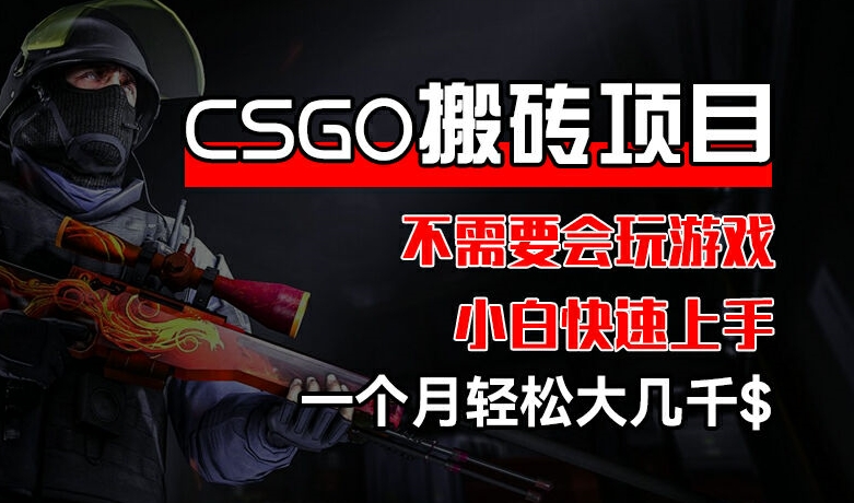 CSGO 装备搬砖项目，操作简单，不需要会玩游戏，小白也能快速上手，一个月轻松大几千-王总副业网